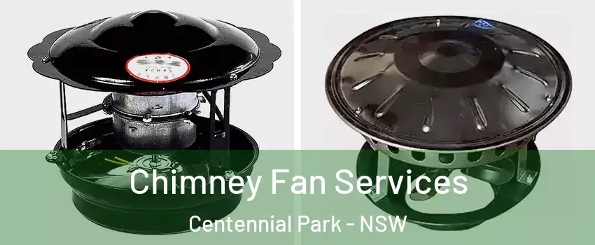 Chimney Fan Services Centennial Park - NSW