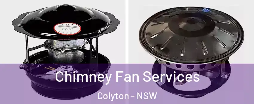 Chimney Fan Services Colyton - NSW