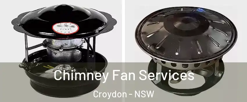 Chimney Fan Services Croydon - NSW