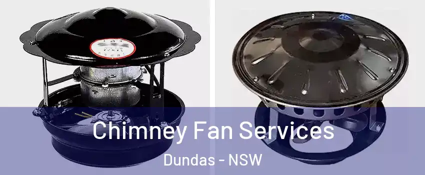 Chimney Fan Services Dundas - NSW