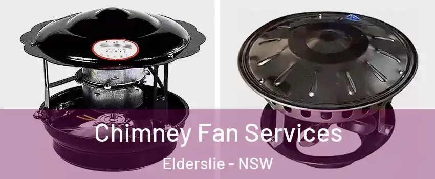 Chimney Fan Services Elderslie - NSW