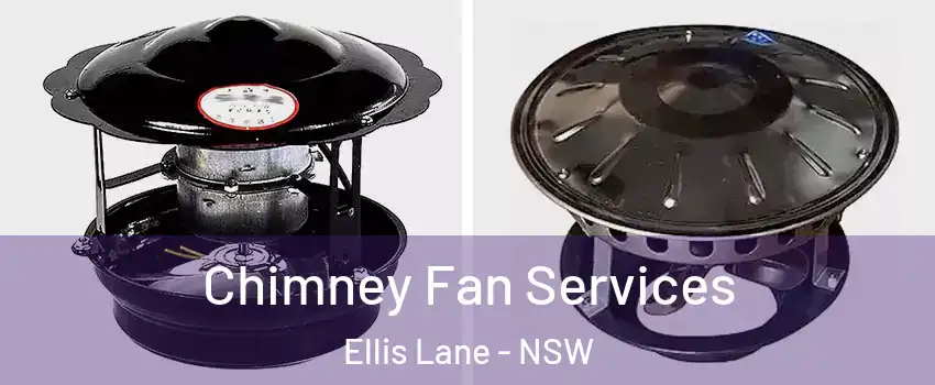 Chimney Fan Services Ellis Lane - NSW