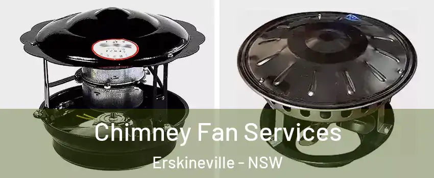 Chimney Fan Services Erskineville - NSW