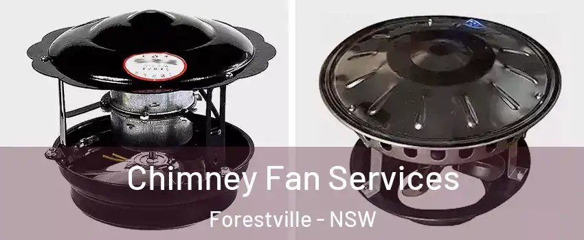 Chimney Fan Services Forestville - NSW