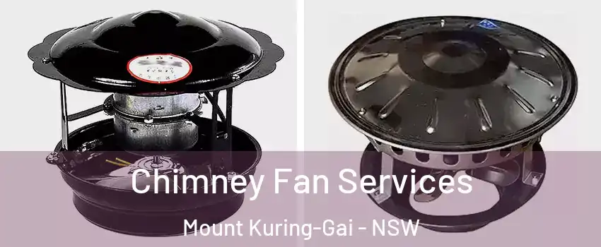 Chimney Fan Services Mount Kuring-Gai - NSW