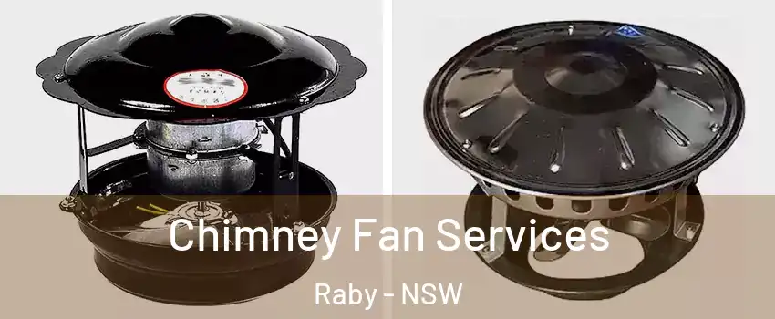 Chimney Fan Services Raby - NSW