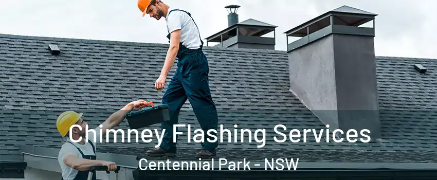 Chimney Flashing Services Centennial Park - NSW