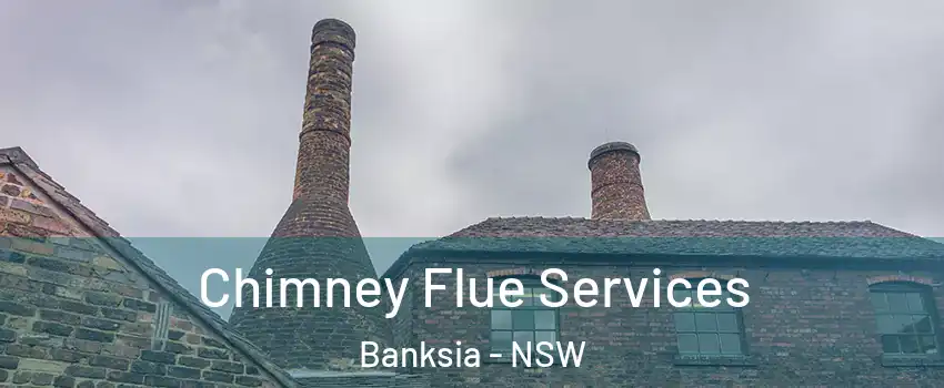 Chimney Flue Services Banksia - NSW