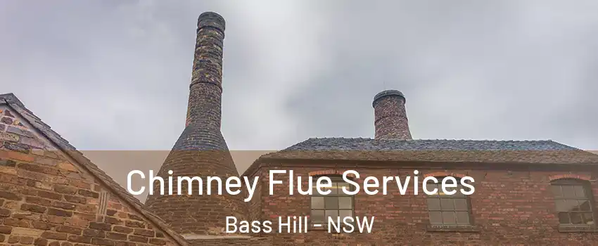 Chimney Flue Services Bass Hill - NSW