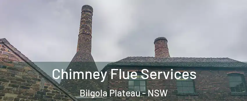 Chimney Flue Services Bilgola Plateau - NSW