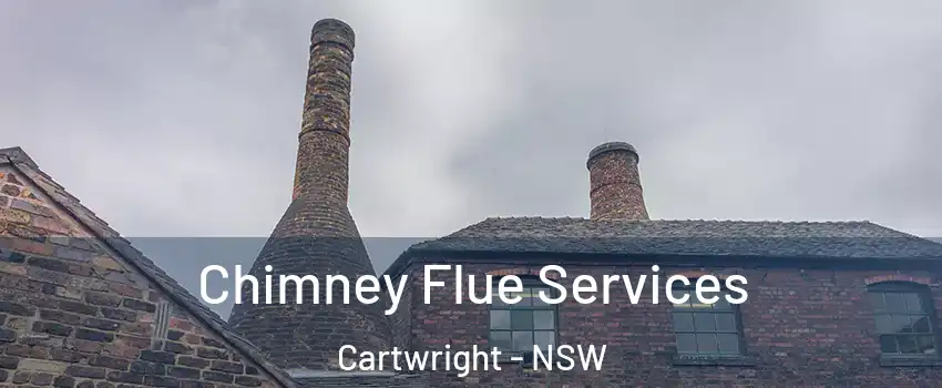 Chimney Flue Services Cartwright - NSW