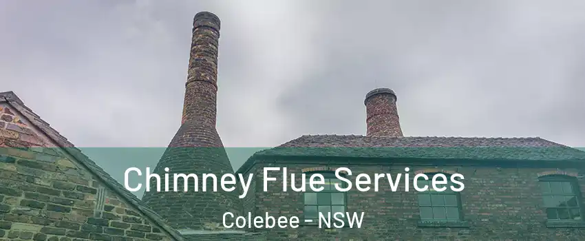 Chimney Flue Services Colebee - NSW