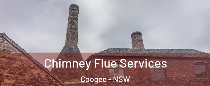 Chimney Flue Services Coogee - NSW