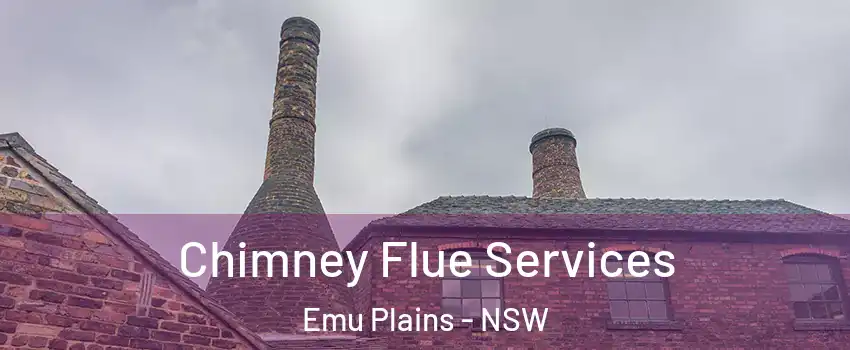 Chimney Flue Services Emu Plains - NSW