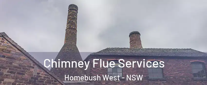Chimney Flue Services Homebush West - NSW
