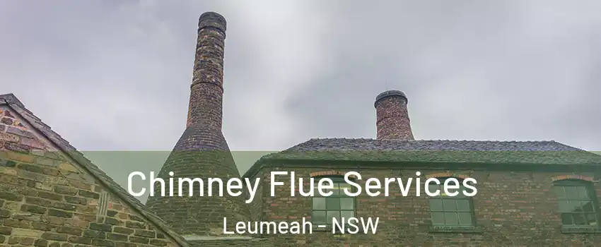 Chimney Flue Services Leumeah - NSW