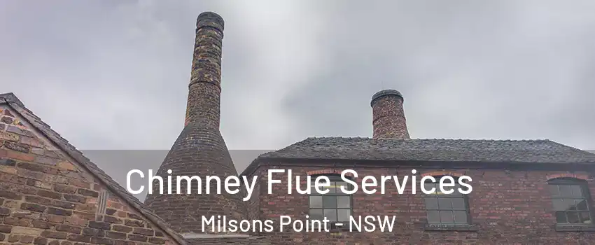Chimney Flue Services Milsons Point - NSW