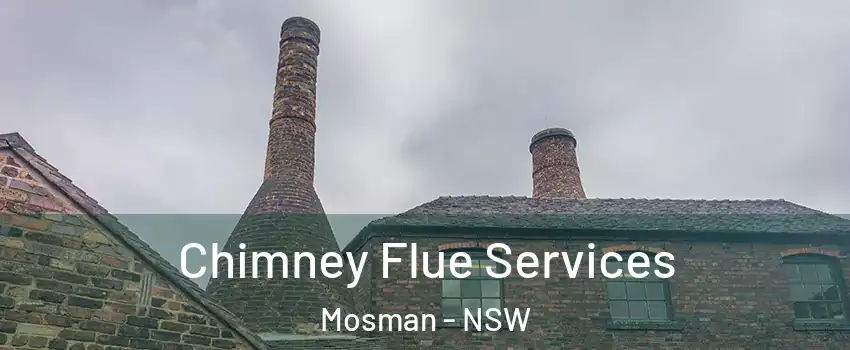Chimney Flue Services Mosman - NSW