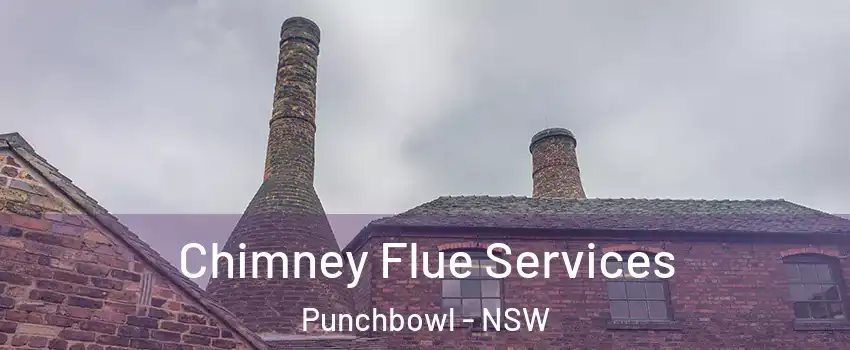 Chimney Flue Services Punchbowl - NSW