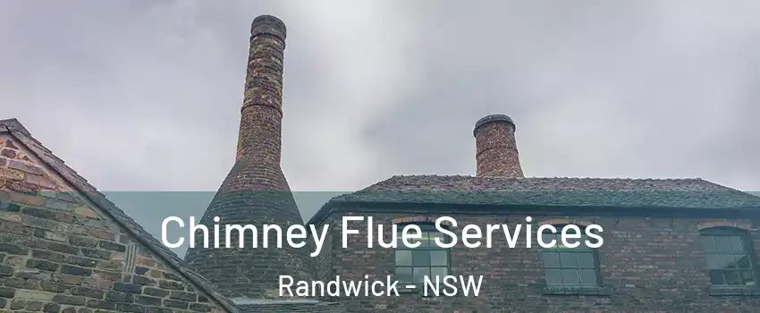Chimney Flue Services Randwick - NSW