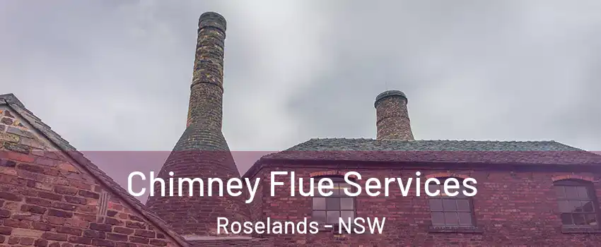 Chimney Flue Services Roselands - NSW