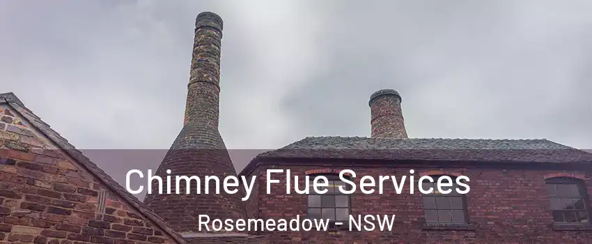 Chimney Flue Services Rosemeadow - NSW