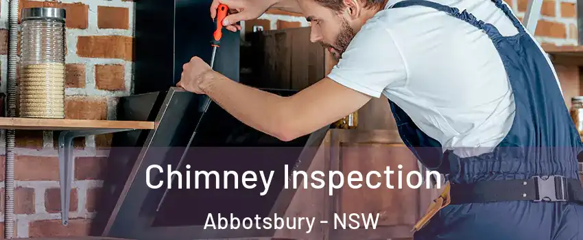 Chimney Inspection Abbotsbury - NSW