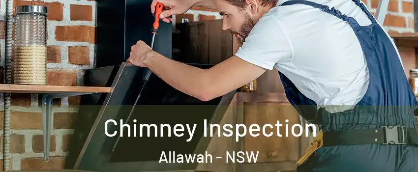 Chimney Inspection Allawah - NSW