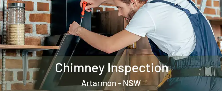 Chimney Inspection Artarmon - NSW