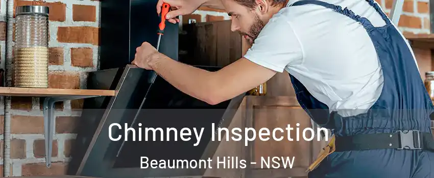 Chimney Inspection Beaumont Hills - NSW