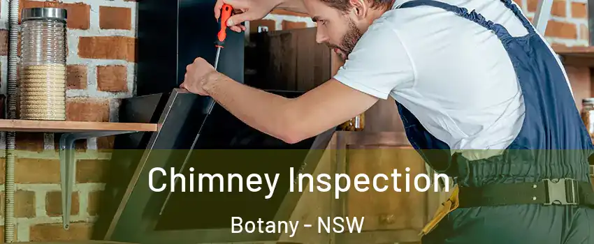 Chimney Inspection Botany - NSW