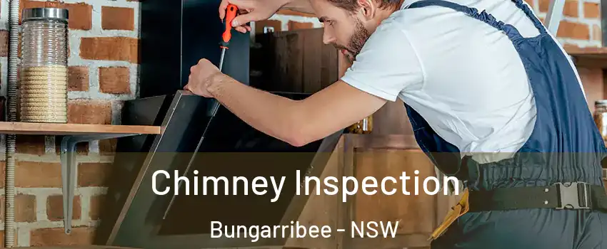 Chimney Inspection Bungarribee - NSW