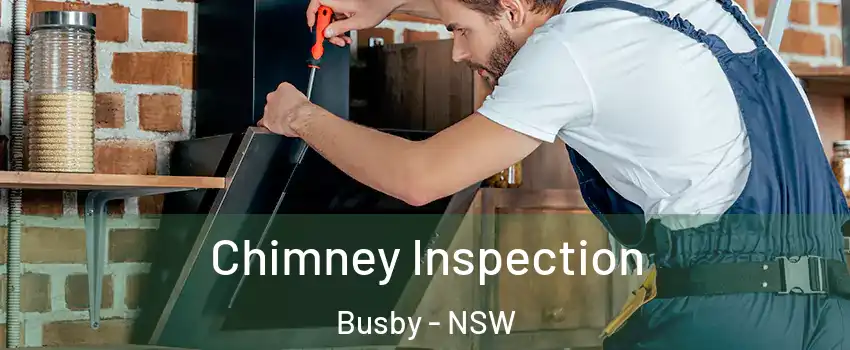 Chimney Inspection Busby - NSW