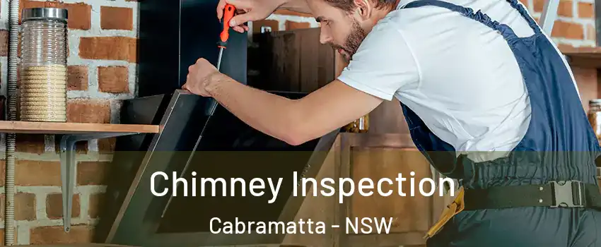 Chimney Inspection Cabramatta - NSW