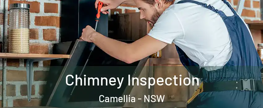 Chimney Inspection Camellia - NSW