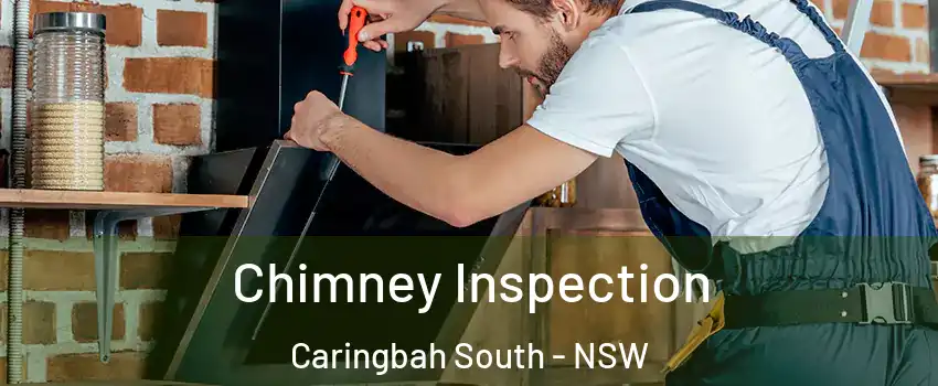 Chimney Inspection Caringbah South - NSW