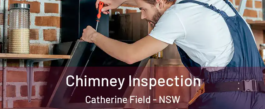 Chimney Inspection Catherine Field - NSW