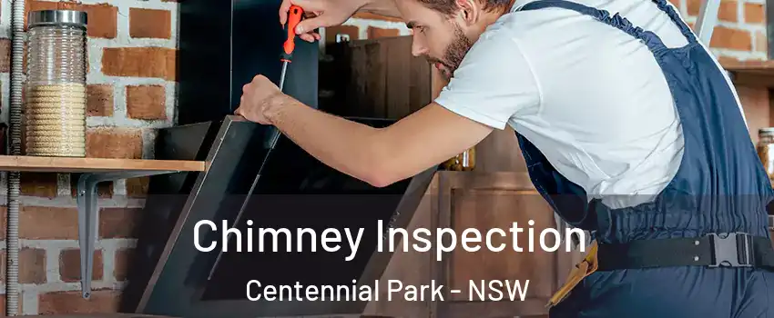 Chimney Inspection Centennial Park - NSW
