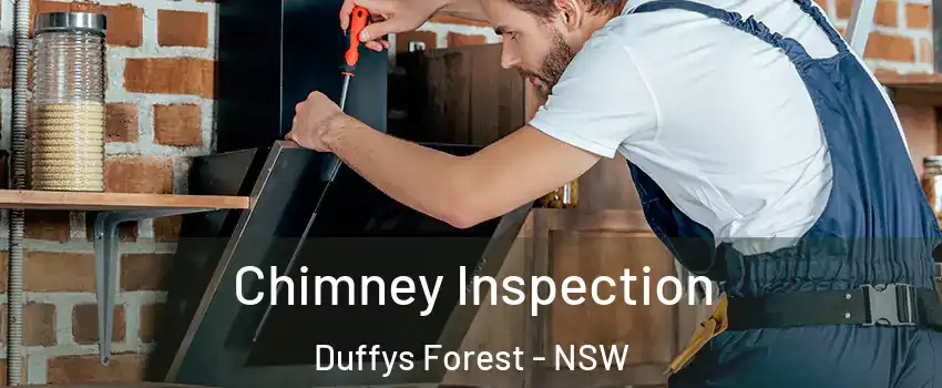 Chimney Inspection Duffys Forest - NSW
