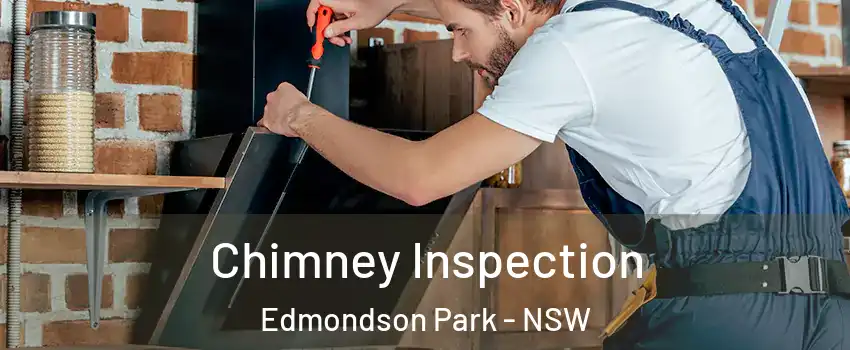 Chimney Inspection Edmondson Park - NSW