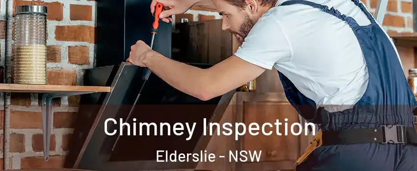 Chimney Inspection Elderslie - NSW