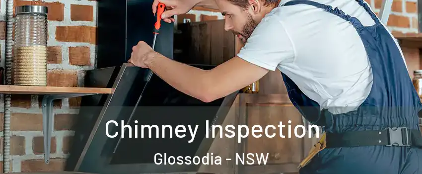 Chimney Inspection Glossodia - NSW