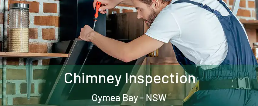 Chimney Inspection Gymea Bay - NSW