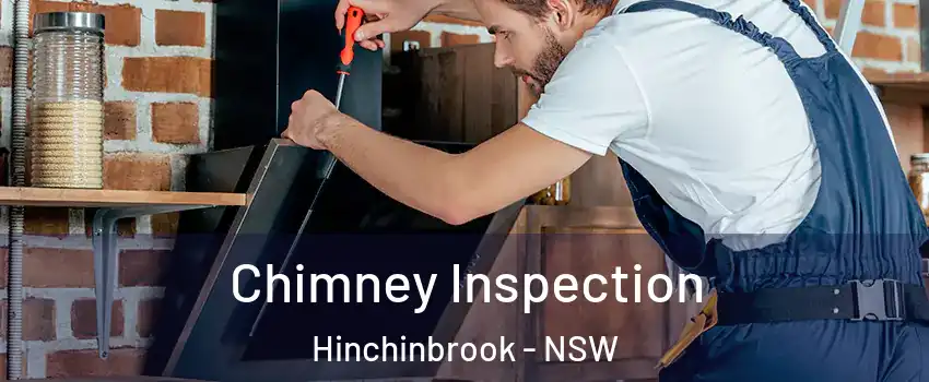 Chimney Inspection Hinchinbrook - NSW