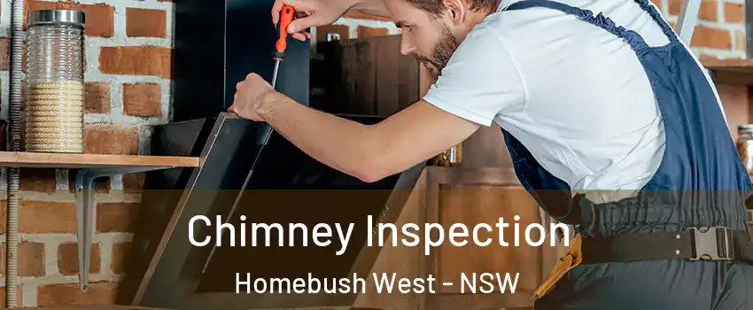 Chimney Inspection Homebush West - NSW