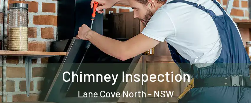 Chimney Inspection Lane Cove North - NSW