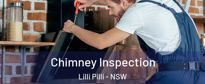 Chimney Inspection Lilli Pilli - NSW