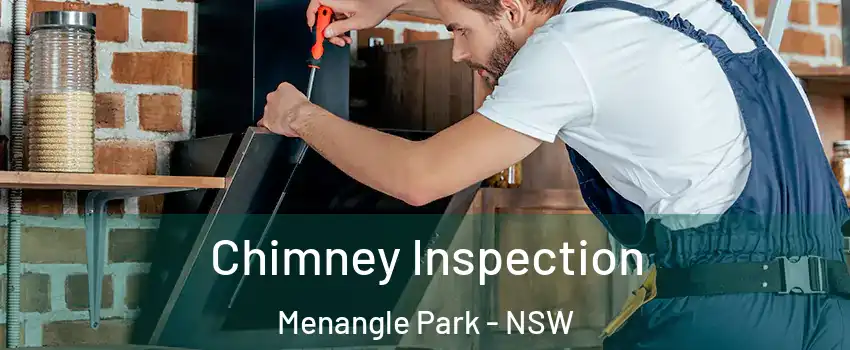 Chimney Inspection Menangle Park - NSW