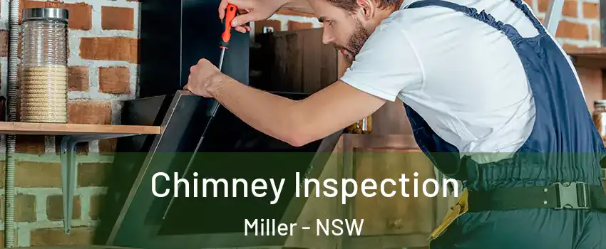 Chimney Inspection Miller - NSW