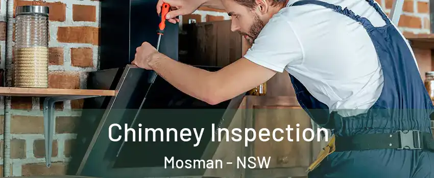Chimney Inspection Mosman - NSW